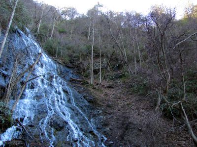 Photo by RAT 2-26-2011
