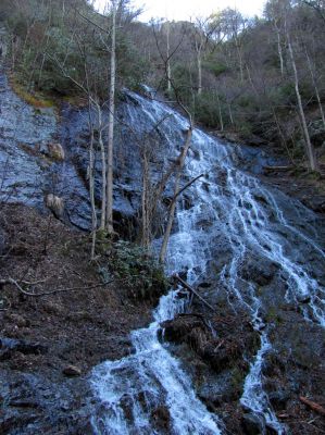 Photo by RAT 2-26-2011
