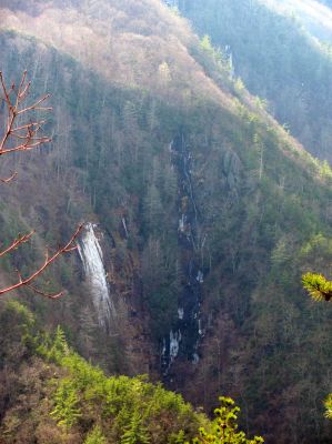 Taken from Chigger Ridge 1-29-2013
