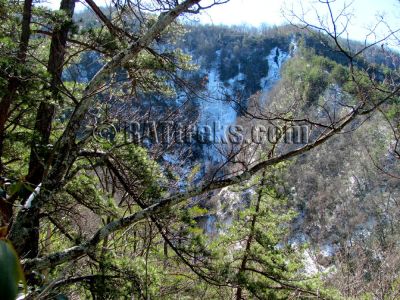 Buckeye Falls
Taken by RAT on 3-6-2010
