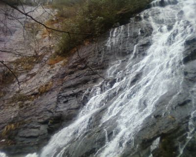 Buckeye Falls
Taken by Melissa Braswell on 3-13-2010
