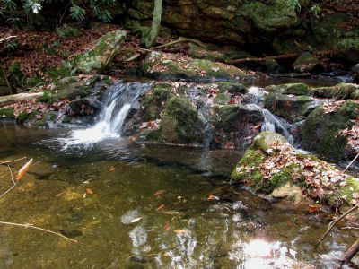 California Creek
Nice cascades about .4 above the upper falls.  11-20-2010
