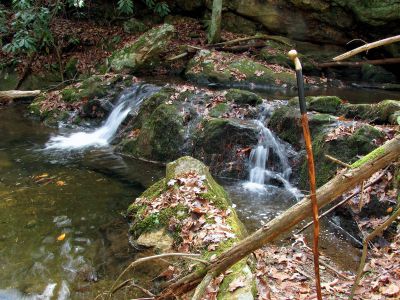 California Creek
Nice cascades about .4 above the upper falls.  11-20-2010

