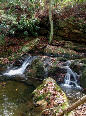 California Creek
Nice cascades about .4 above the upper falls.  11-20-2010
