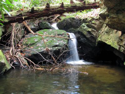 California Creek
Awesome 10 ft waterfalls we discovered above the upper falls. They are set back in a grotto and are very nice.  11-20-2010
