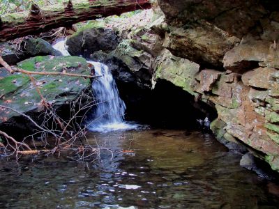 California Creek
Awesome 10 ft waterfalls we discovered above the upper falls. They are set back in a grotto and are very nice.  11-20-2010
