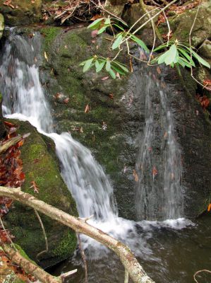 Upper California Creek Falls
Upper California Creek falls.  11-20-2010
