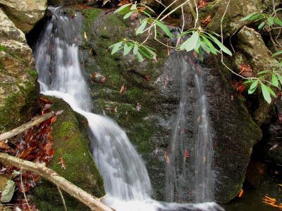 Upper California Creek Falls
Upper California Creek falls.  11-20-2010
