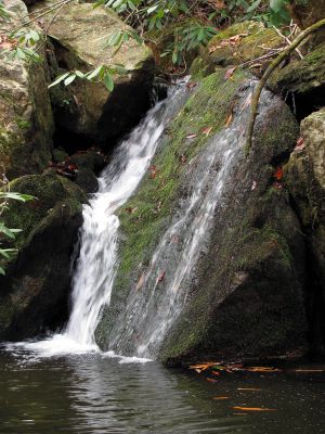 Upper California Creek Falls
11-20-2010
