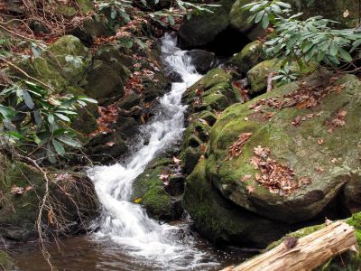 California Creek
Nice set of cascades found just above Cody falls (in between upper and lower California Cr. Falls)  11-20-2010
