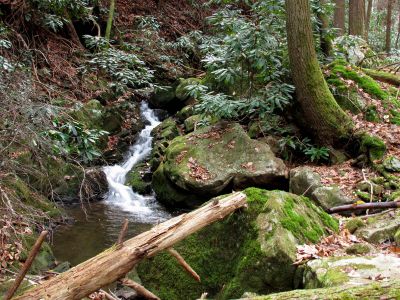 California Creek
Nice set of cascades found just above Cody falls (in between upper and lower California Cr. Falls)  11-20-2010
