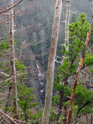 Taken March 30, 2013 from a ridge near the Camp Creek Trail
