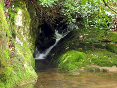 Feeder falls which is the actual Chestnut Cove Branch where it enters into the North Harper Creek at the base of the Chestnut Cove Branch Falls Taken 6-13-2012
