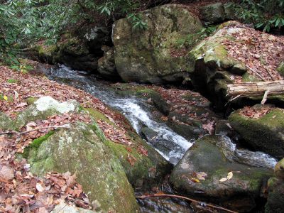 Cody Falls
Taken from the top of the upper part of Cody falls 11-20-2010.
