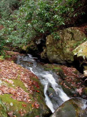 Cody Falls
Taken from the top of the upper part of Cody falls 11-20-2010.
