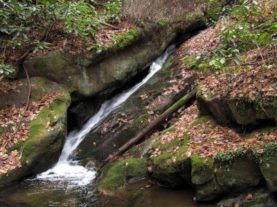 Cody Falls
Lower part of the upper half of Cody Falls  11-20-2010.
