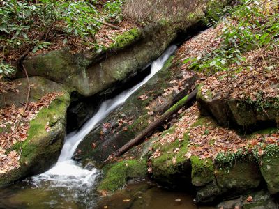 Cody Falls
Lower part of the upper half of Cody Falls  11-20-2010.

