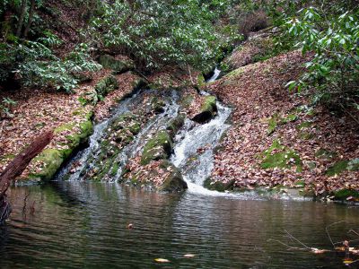 Cody Falls
Taken from the very bottom.  11-20-2010
