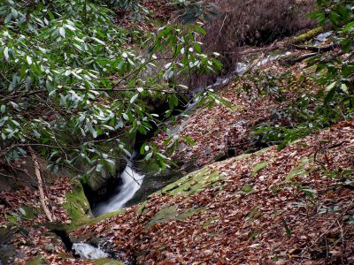 Cody Falls
Upper part of Cody Falls as seen from the bottom (zoomed)   11-20-2010
