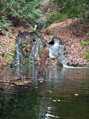 Cody Falls
Cody Falls as seen from the bottom  11-20-2010

