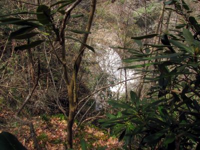Compression Falls as seen from a ridge high above them (Taken April 3, 2012) 
