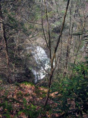 Compression Falls as seen from a ridge high above them (Taken April 3, 2012) 

