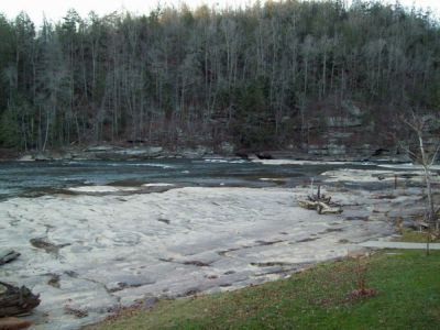 Cumberland River (above falls)
Taken 11-27-2009
