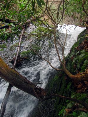 Taken 4-4-2017 Top of the falls 
