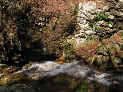 Devil's Slide Falls
Taken 4-3-2011
