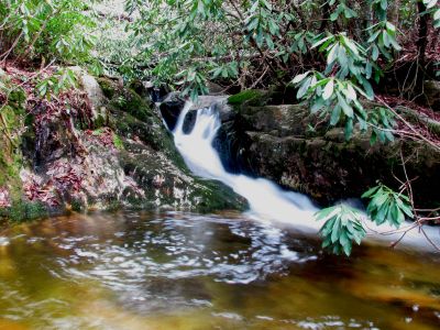 falls just above top of Upper Dick Creek Falls Taken 3-3-2012
