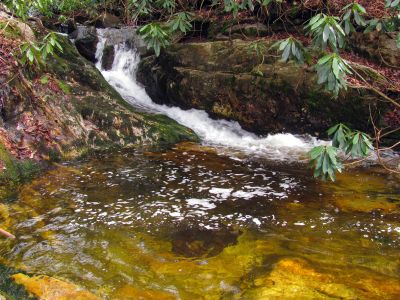 falls just above top of Upper Dick Creek Falls Taken 3-3-2012
