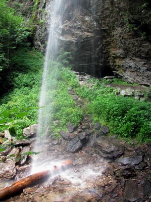 Douglas Falls (North Carolina)
Taken 7-10-2011
