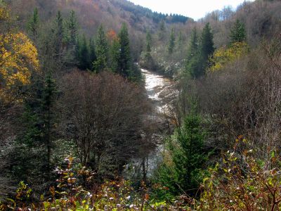 Lowest falls on Flat Laurel Creek - Taken 10-22-2014
