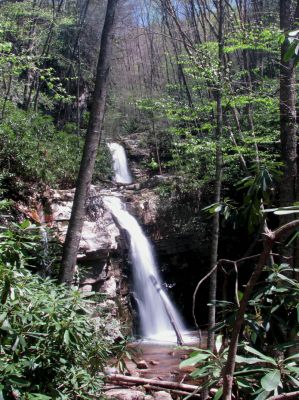 Gentry Falls
taken 4-30-2011
