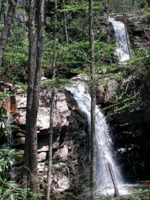 Gentry Falls
taken 4-30-2011
