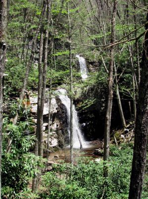 Gentry Falls
taken 4-30-2011
