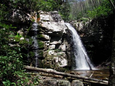 Gentry Falls
Lower part taken 4-30-2011
