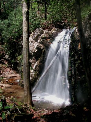 Gentry Falls
Lower part Taken 4-30-3011

