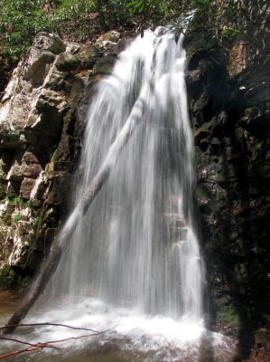 Gentry Falls
Lower part Taken 4-30-3011
