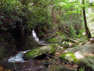 Convergence and small falls located where the Glen Falls Creek meets Margarette Creek Taken 5-28-2011
