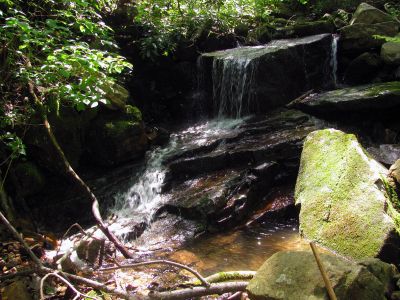 Second set of fall/cascades found going up Glen Falls Creek/Hollow Taken 5-28-2011
