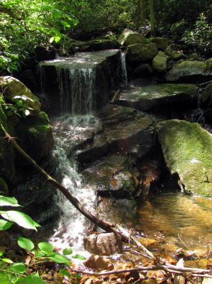 Second set of fall/cascades found going up Glen Falls Creek/Hollow Taken 5-28-2011
