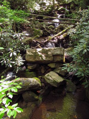 The actual Glen Falls as per GPS coordinate listed at TN Landforms Taken 5-28-2011
