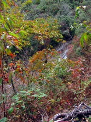 Yellowstone Falls Taken 10-15-2015
