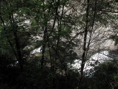 Looking down on Harper Falls from the MST  Taken September 2012
