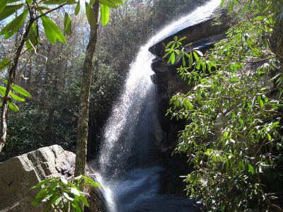 Jones Falls
Taken by Bol'Dar 4-18-2010
