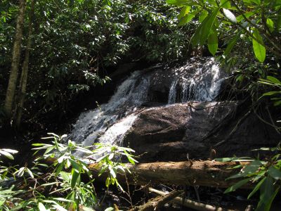 Jones Falls  (upper)
Taken by Bol'Dar 4-18-2010
