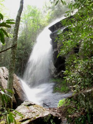 Jones Falls
Taken 5-1-2010
