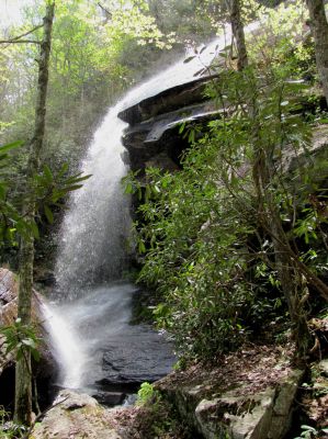 Jones Falls
Taken 5-1-2010
