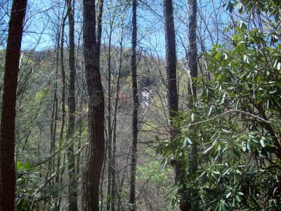 Jones Falls
Taken 4-18-2010
